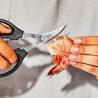 OXO-Nożyce do owoców morza Good Grips