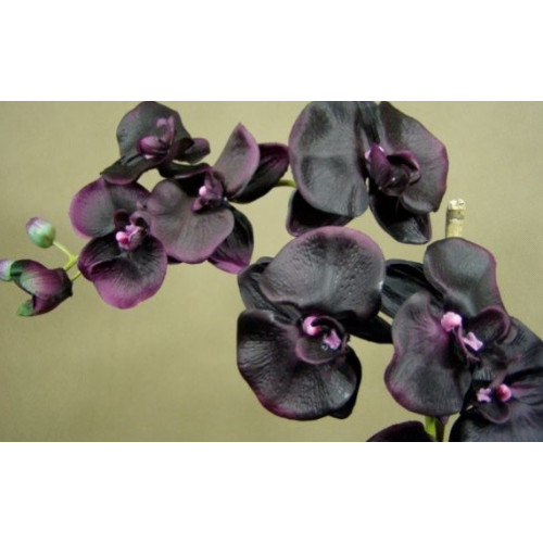 CM - Zapas do dyfuzora 200ml Black Orchid and Lily