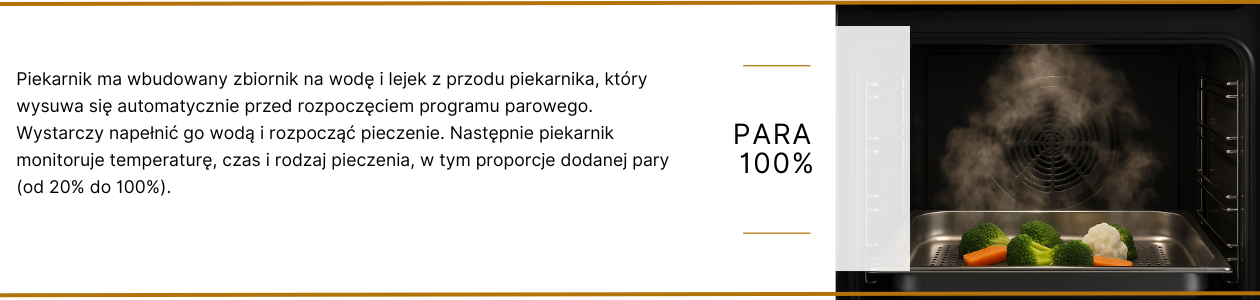P_para  100 (1).png