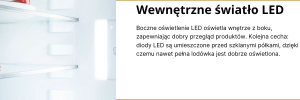 Wewnętrzne światło LED (1).png